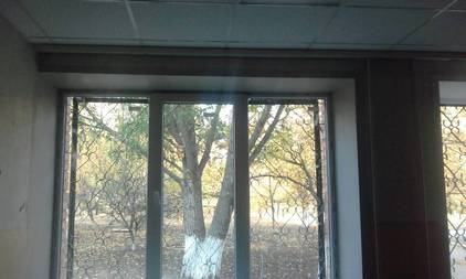 ������ ���������� ������� ����� ���������